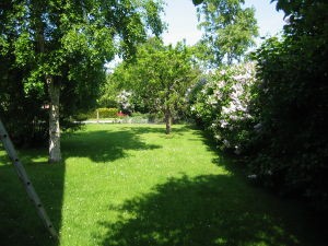 Zum Bild in Originalgre hier klicken...